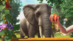 ZooTycoon_360_Elephant1.jpg